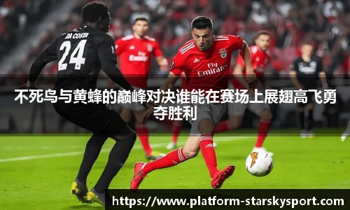 不死鸟与黄蜂的巅峰对决谁能在赛场上展翅高飞勇夺胜利